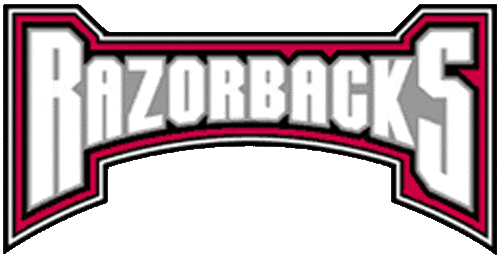 Arkansas Razorbacks 2001-2008 Wordmark Logo v5 DIY iron on transfer (heat transfer)
